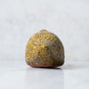 Yellow Bird #3