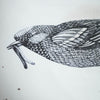 Bird Plate (left facing)
