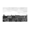 Southfields Birds Limited Edition Giclée Print